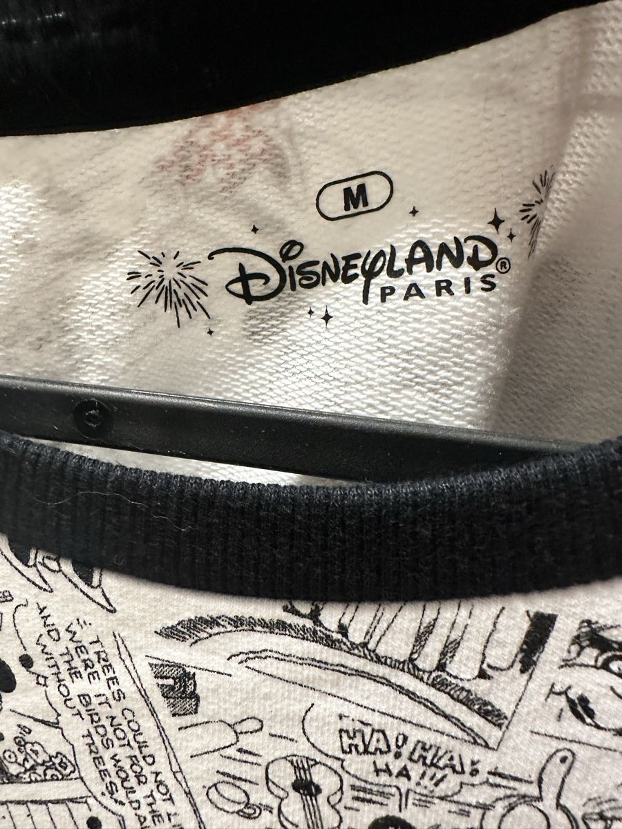Maglioni & Felpe: Pull Sweat Disneyland Paris Mickey NEUF – Nuovo e nell'imballaggio originale da Plan-les-Ouates venduto da aur_z5pj 4