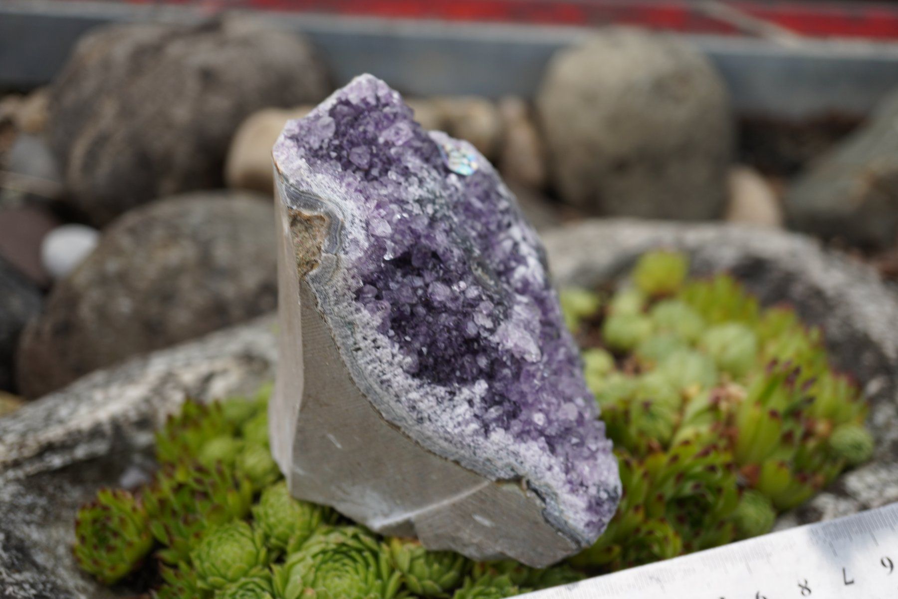 Minerali & Pietre curative: Amethyst Drusen Stück    620g  Topstone  ab  10.- – Nuovo e nell'imballaggio originale da Eschenbach SG venduto da topstone 5