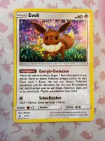 2018 ⚡Evoli ⚡11/12 DE