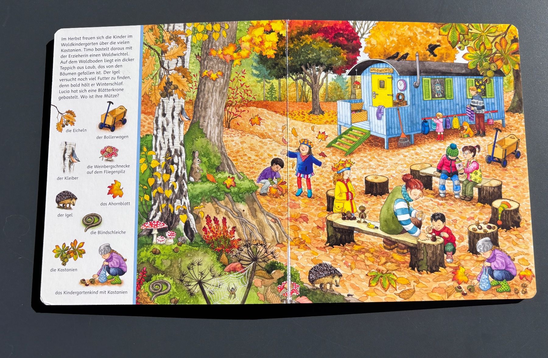 Bücher: Kinderbuch – Gebraucht aus Brugg AG von tsannen 4