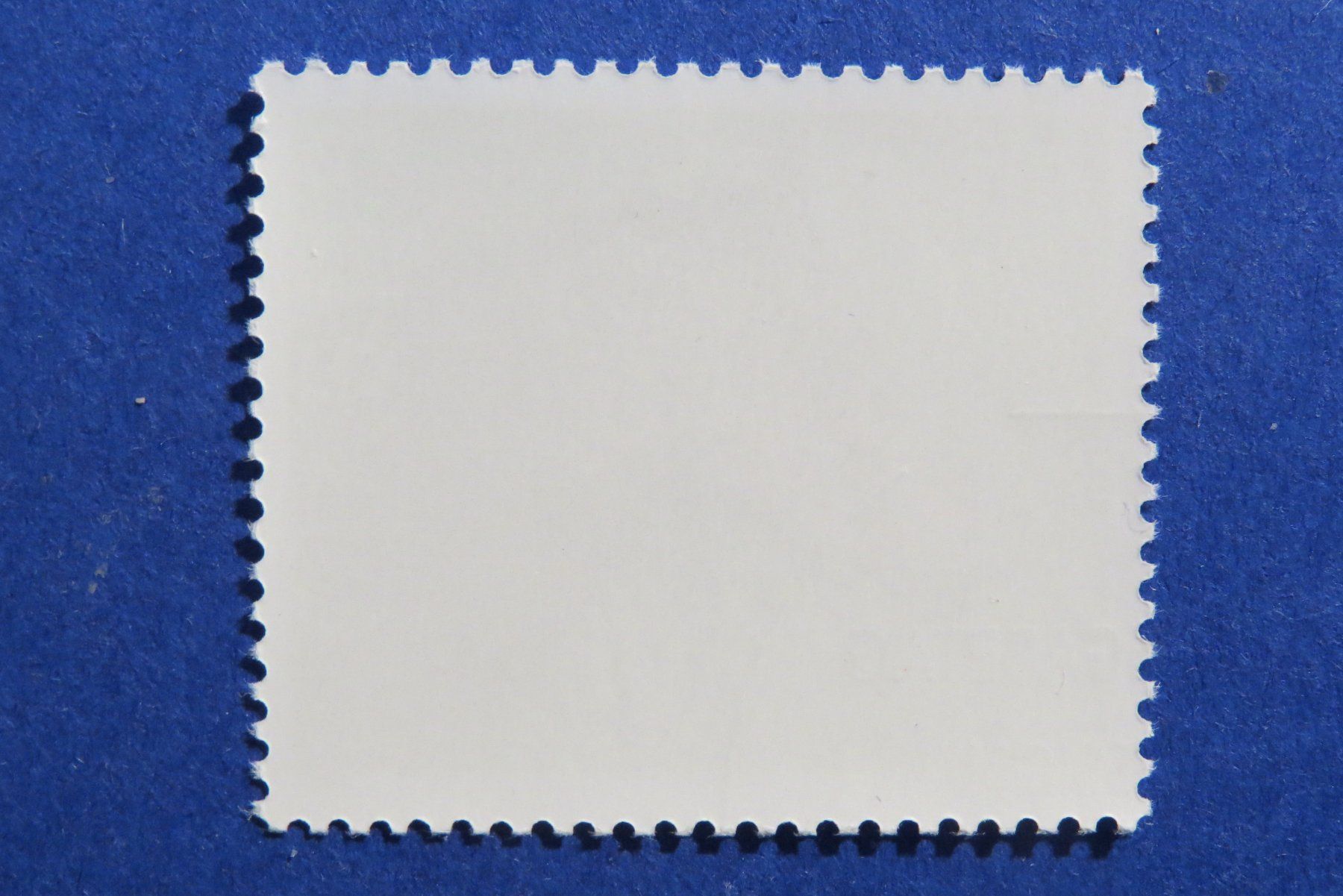 Alle Briefmarken: Sondermarke '100.Marché Concours' 2003 - off.Ersttag BERN – Gebraucht aus Brunnen von Kumari 1