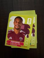 Panini Pedro Miguel QAT 7 & viele mehr