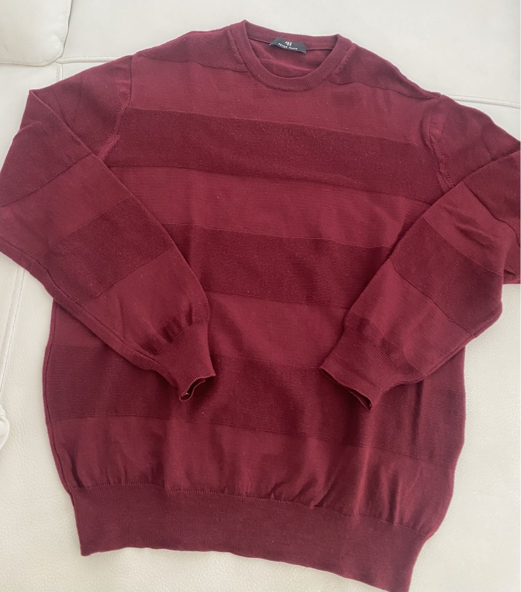 Peter Hahn Pullover & Sweatshirts: Peter Hahn wolle pullover – Gebraucht aus Opfikon von Luis144