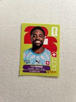 Panini Sui 3