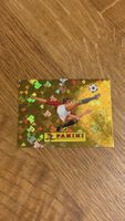 Panini Sticker 00