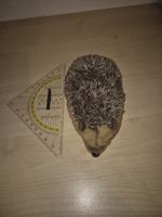 Plüschtier Igel