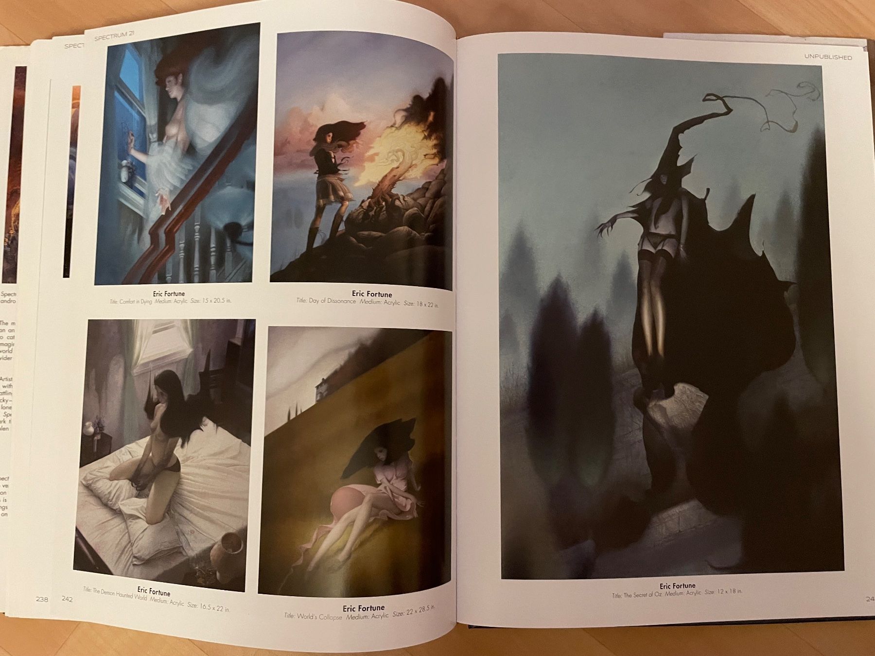 Libri: Kunstbuch / Contemporary Art Book Spectrum 21 – Usato da Zürich venduto da Angela_Fashion_Lover 7
