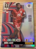 Panini FIFA World Cup 2026 Icon Godoy 348