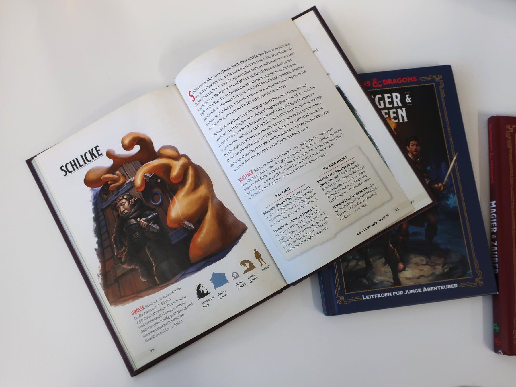Libri: 4 Stück Dungeons & Dragons Handbücher – Usato da Volketswil venduto da brockipfannenstil 7