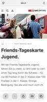 Friends-Tageskarte Jugend 2. Klasse (1)