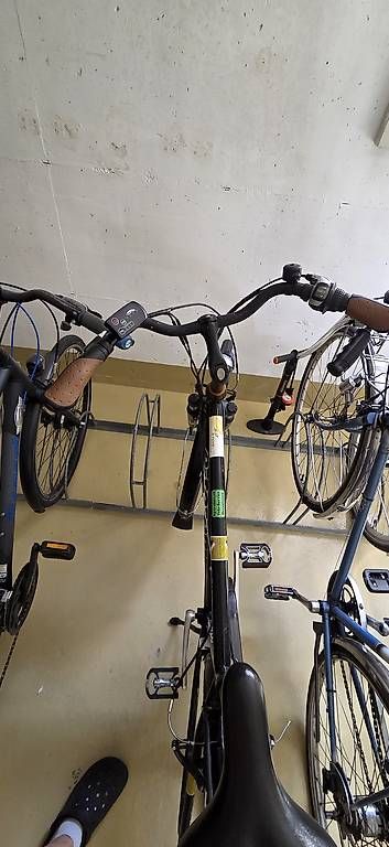 Biciclette: E-Totem E-Bike (25 kmh) – Usato da Thun venduto da LittleGuruu 3