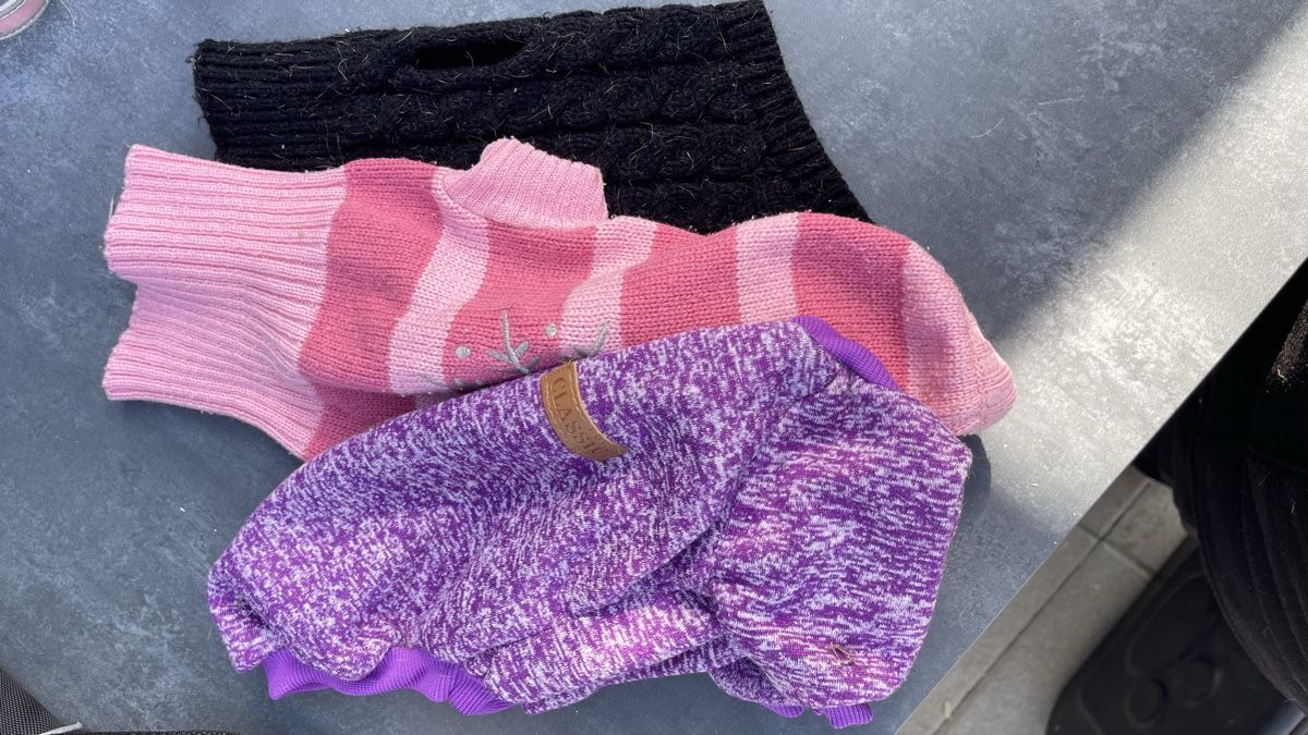 Abbigliamento: Versch. Hundemantel, Gr. S, Paris – Usato da Selzach venduto da Giusi400 3