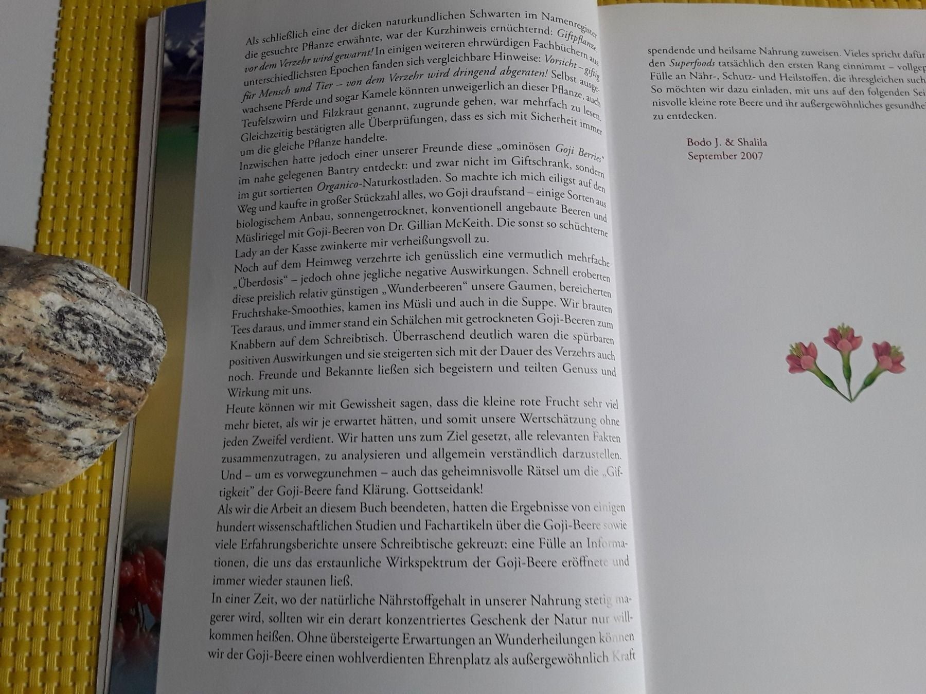 Bücher: Goji - Die ultimative Superfrucht – Gebraucht aus Rebstein von Buchsi03 4