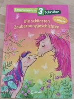 Die schönsten Zauberponygeschichten