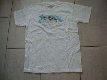 T-SHIRT FÜR JUNGS GR.152 NEUWERTIG