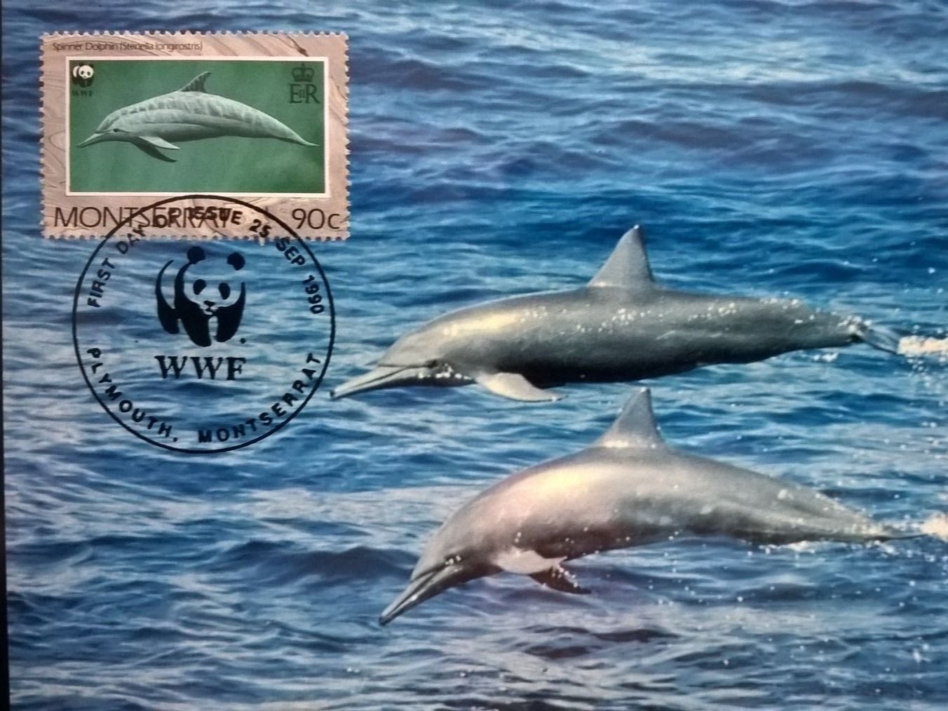 Alle Briefmarken: Montserrat 1990 Satz WWF Delphine Maximumkarten – Neu (gemäss Beschreibung) aus Liestal von schnueps 3