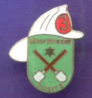BÄRGFÜÜRWEHR  PIKETT 3