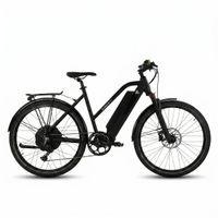 E-Bike AureusDrive Power45 45 km/h Schwarz Tiefeinsteiger M