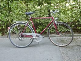 ALTES HERRENVELO TIGRA