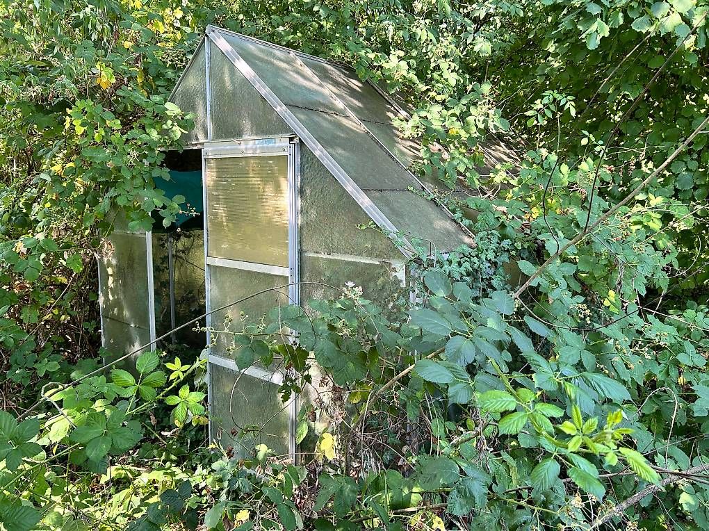 Gartenhäuser & Gewächshäuser: Gewächshaus – Gebraucht aus Wernetshausen von Martilukas