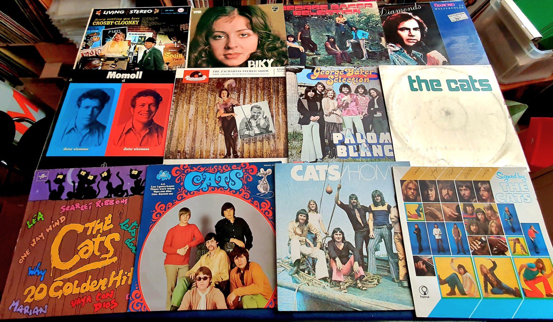 Dischi in vinile: SCHNÄPPCHEN: ca 270 LP's POP/ROCK/SCHLAGER + HITS!!! – Usato da Kreuzlingen venduto da Cdschlumpf 2