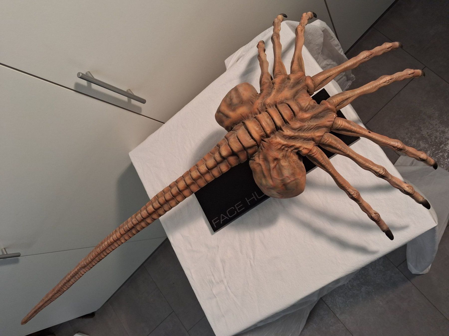 Figurines: Alien -Facehugger – D'occasion à Gretzenbach par chr_bxh5 1
