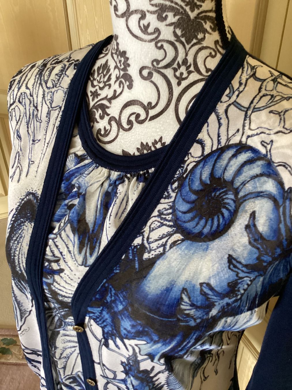 Roberto Cavalli Top: Roberto Cavalli Cardigan und Top Seide – Nuovo (secondo la descrizione) da Magadino venduto da sylvierosa 1