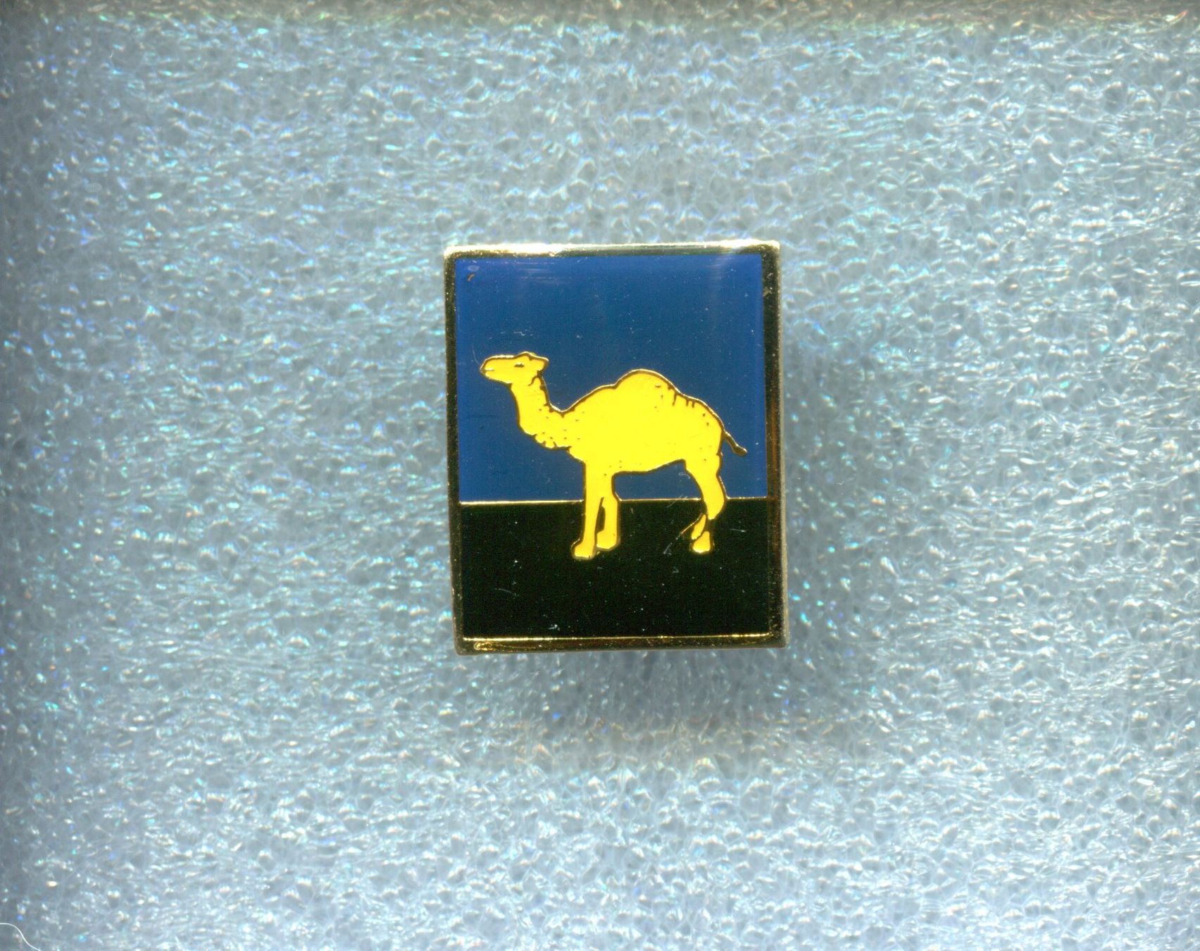 Camel Placchette & Badge: CAMEL – Usato da Winterthur venduto da Sammleroase