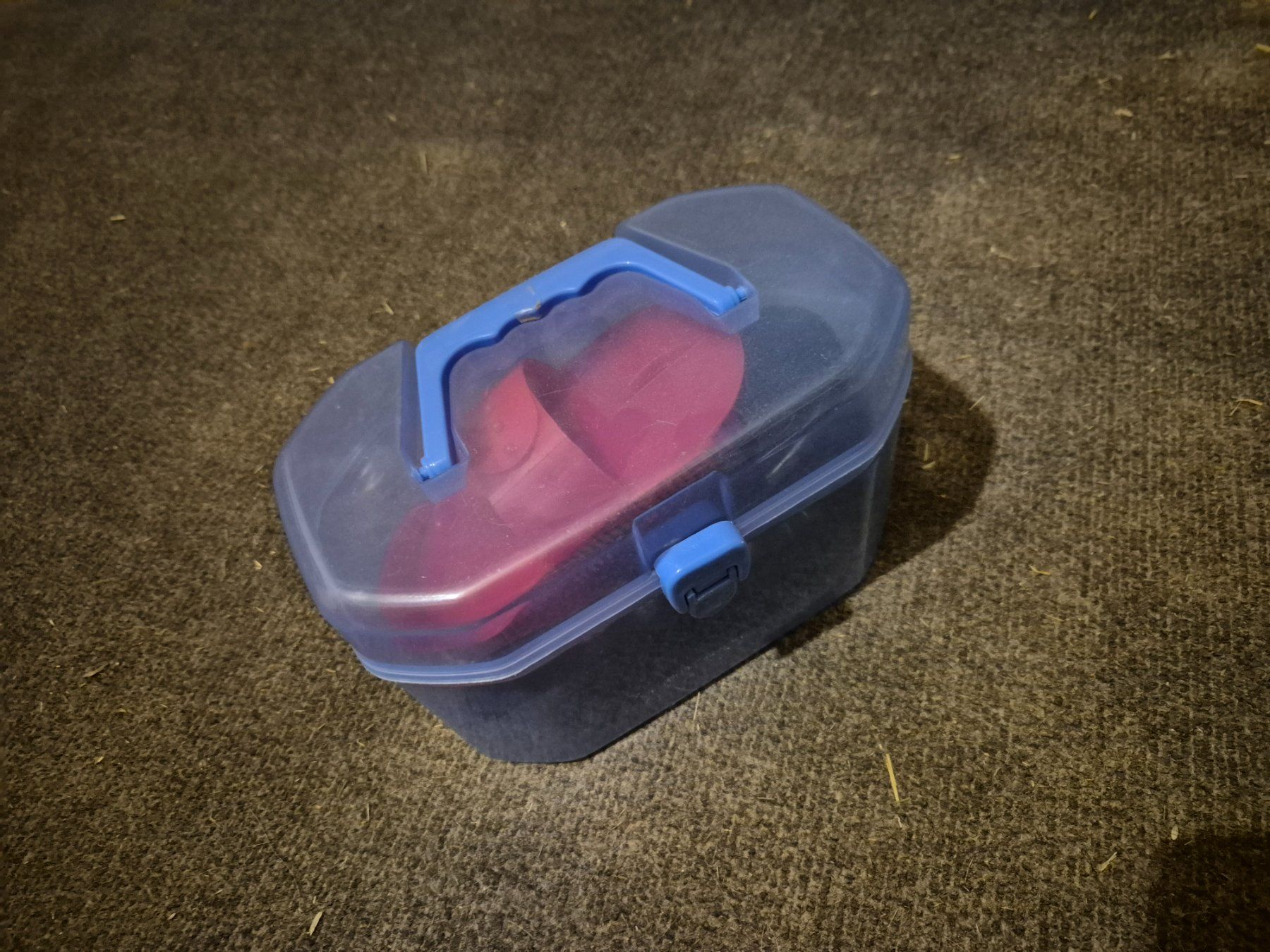 Zaumzeug & Halfter: Putzbox – Gebraucht aus Meggen von Orrinka20 2