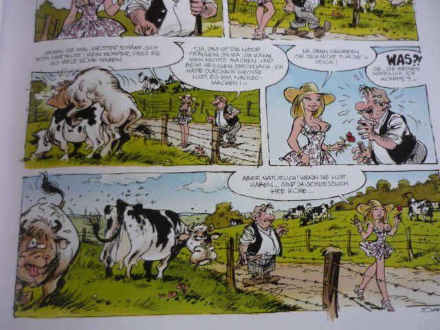 Fumetti: Erotic Comics - Wo endet das  - von Dany – Usato da Belp venduto da Polexli 3