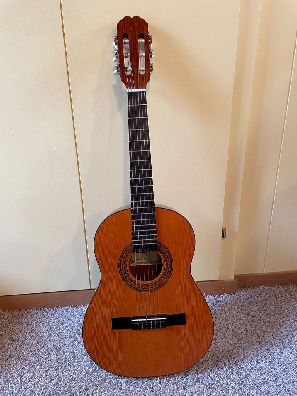 Strumenti musicali: Kindergitarre, inkl. Gitarrentasche – Usato da Wattwil venduto da zweiabenteurer