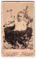 Fotografie Atelier Naef-Hort, Zofingen, 