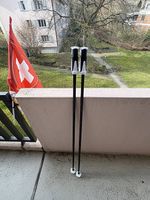 Wanderstöcke (Gesamtlänge 120cm)