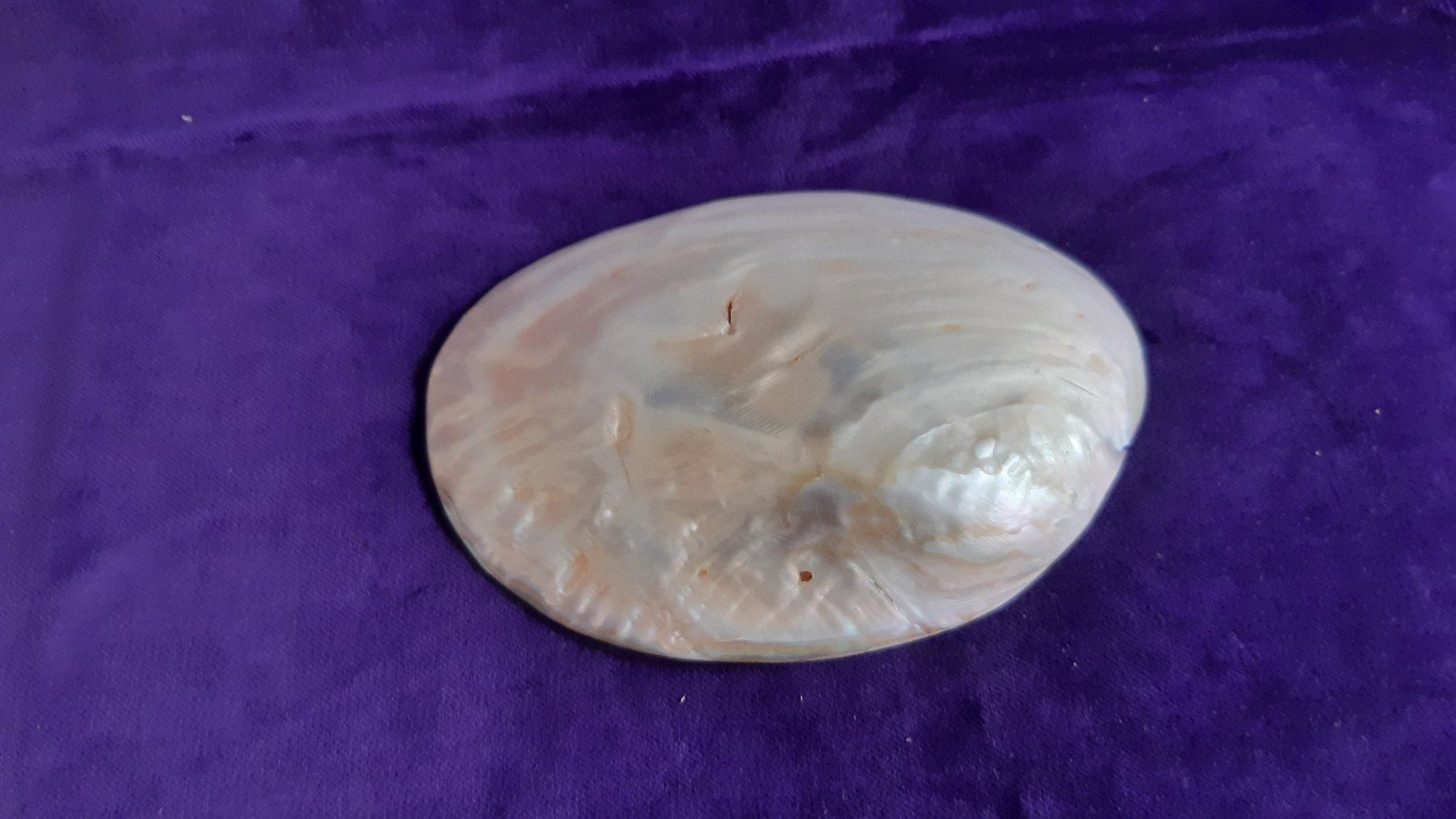 Catenine: Perlenkette Keshi – Usato da Biel/Bienne venduto da Strada29 3