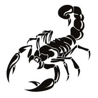 🦂 Cooler Skorpion-Aufkleber für deine Motorhaube! 🦂💫