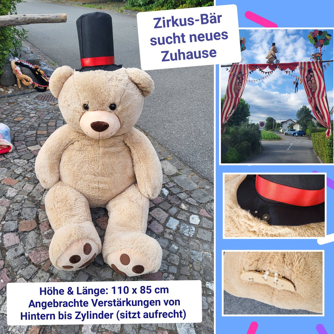 Giocattoli: Teddy-Bär – Usato da Schafisheim venduto da RogerRabbit83