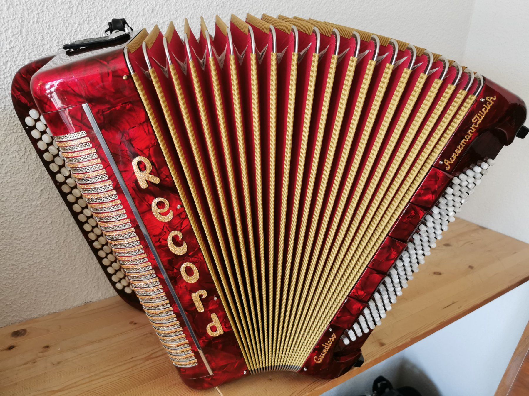 Musikinstrumente: AKKORDEON RECORD PIGINI GRANDIOSO – Gebraucht aus Volketswil von  3
