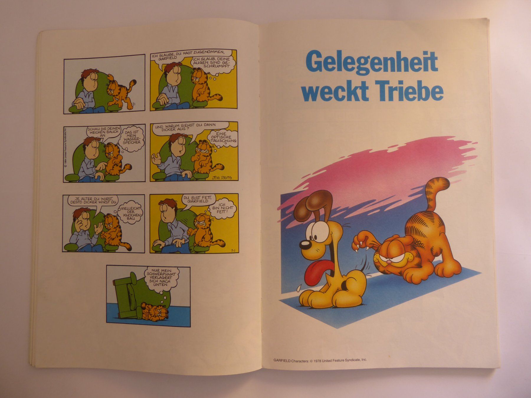 Fumetti: Heft Die Garfield Gallery 3, Jim Davis – Usato da Turbenthal venduto da Nautop 4