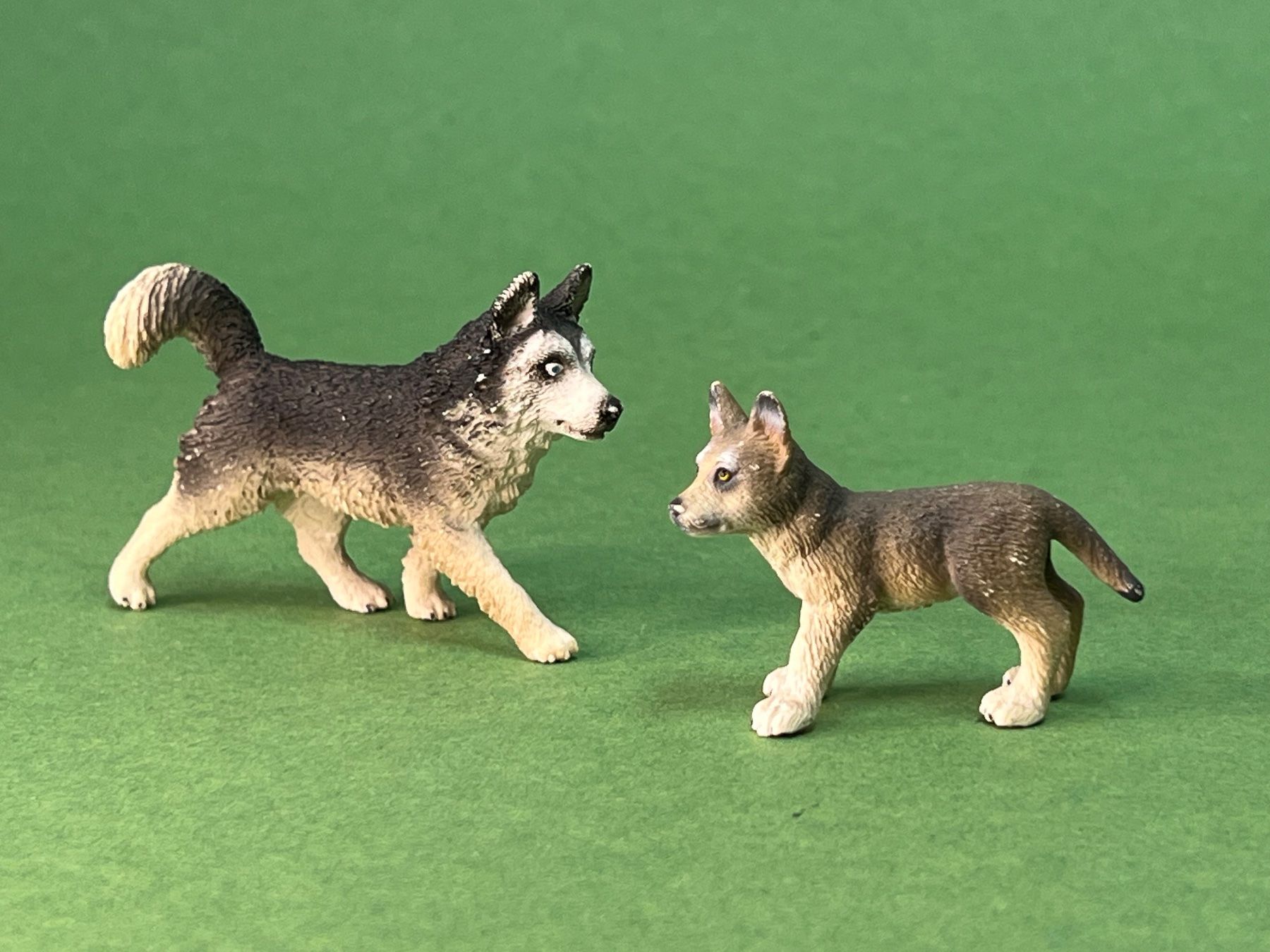 Schleich Statuette: 8 Schleich Wolf Wölfe Rudel Wolfsrudel – Usato da Ennetbaden venduto da mapa05 8