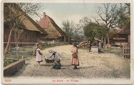 LANDWIRTSCHAFT/STROHDACHHAUS 1907 Bern?