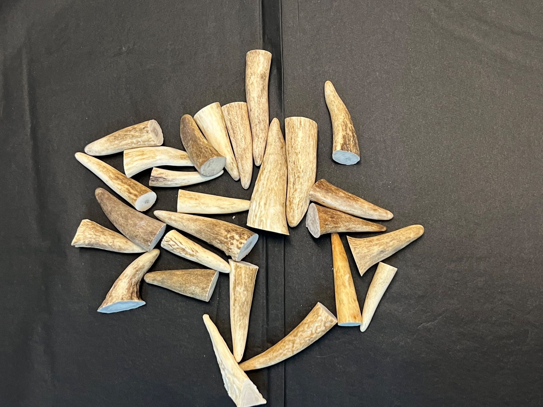 Kit bricolage: Hirsch Geweih Horn Hirschgeweih Spitzen 4-8cm – Usato da Vaduz venduto da hirschjager 1