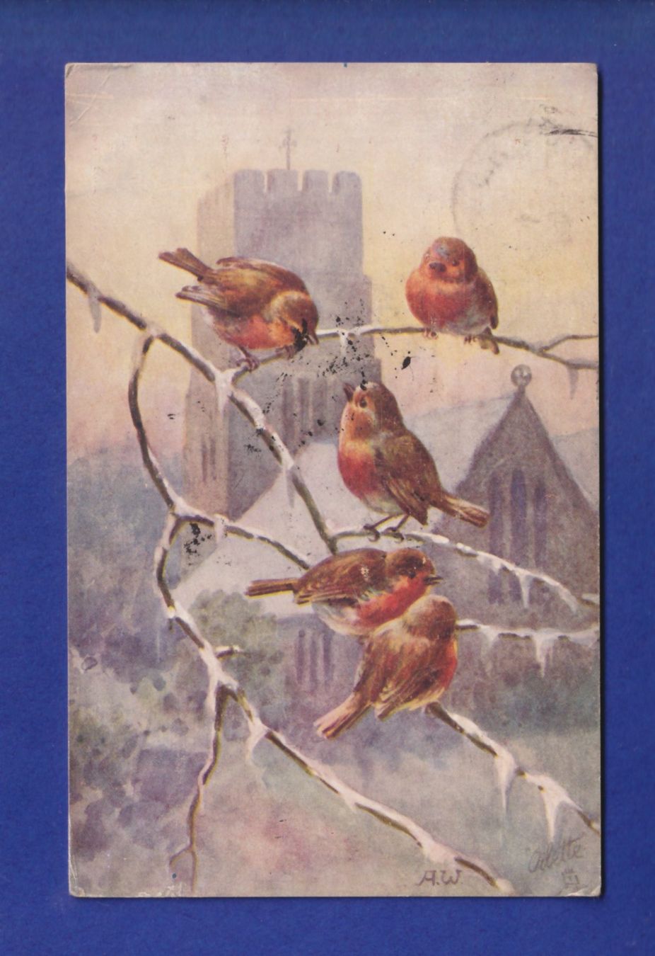 Cartes postales: OISEAU - Rouges-Gorges – D'occasion à Pully par nicecards-shop