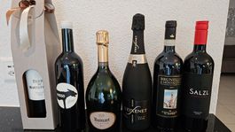 Weine-Sammlung: Ruinart Champagner, Brunello u.a. 🍷🍾