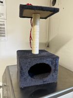Katzenbaum inkl. Katzenleine (Angewöhnung Freigänger)