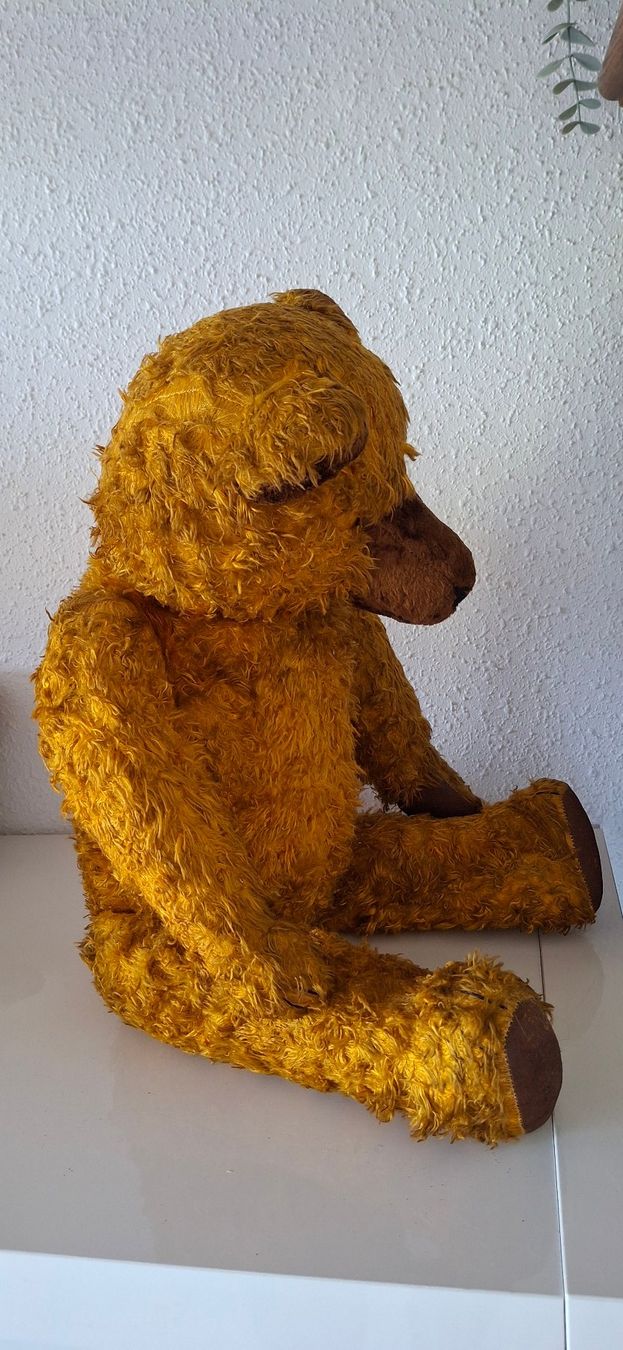 Giocattoli: Antiker Teddybär – Usato da Reinach BL venduto da Chela04 3