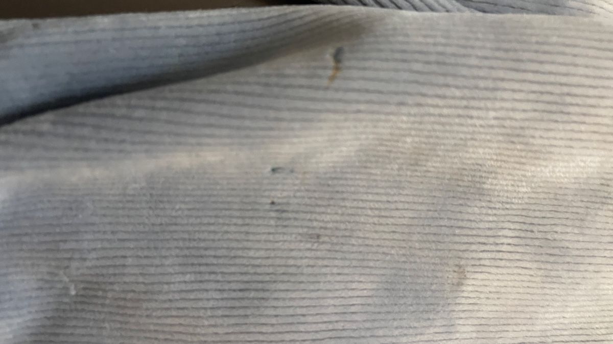 Hosen: Warme Baby Cordhose, Grösse 98 – Gebraucht aus Zürich von Belisimo 5