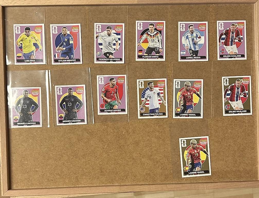 Panini Carte collezionabili: Panini WM 2026 Extra Sticker Diverse – Usato da Regensdorf venduto da Maryjagne 2
