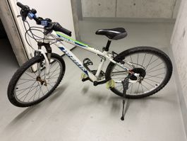 Kinder Mountainbike Wheeler Junior 400 weiss gebraucht