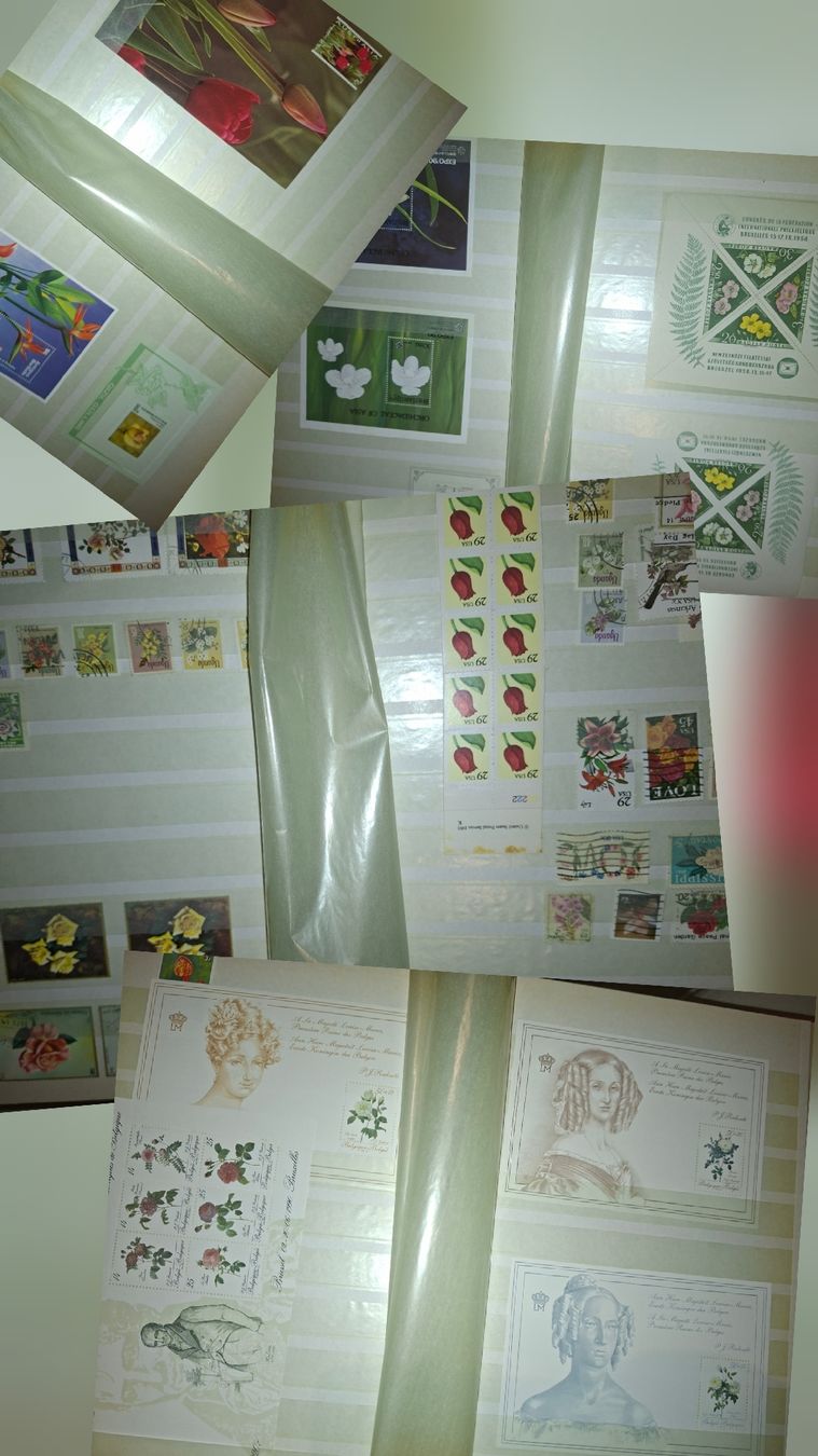 Alle Briefmarken: Sammlung Briefmarken / Bmumenmotive – Gebraucht aus Balgach von SIMEON27 5