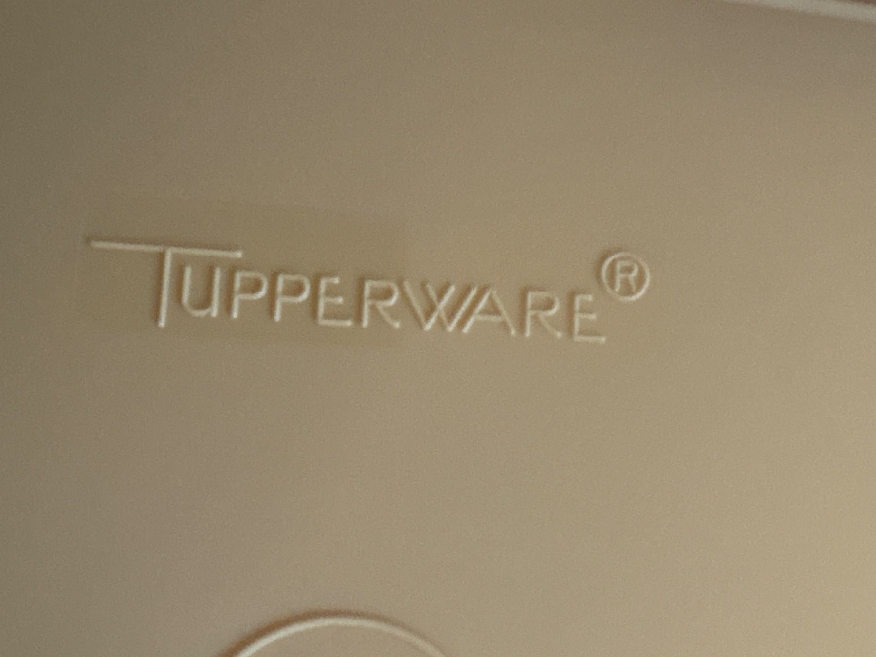 Tupperware Contenitori & Simili: Tupperware Dose, Klassiker, gelb/rot, Retro, Vintage – Usato da Ibach venduto da lisch3 3